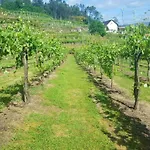 Вилла Charming In Cividade, 150 M² With Private Pool