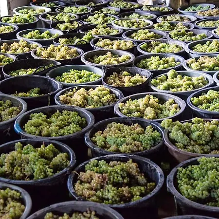 Charming In Cividade, 150 M² With Private Pool Villa Cividade