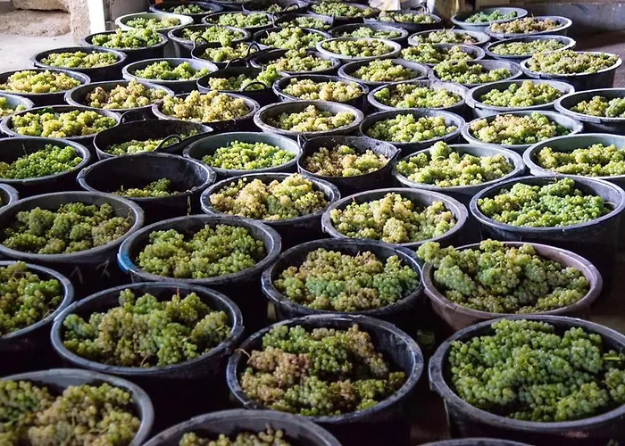 Charming In Cividade, 150 M² With Private Pool Villa Cividade