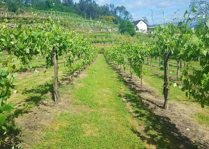 Villa Charming In Cividade, 150 M² With Private Pool